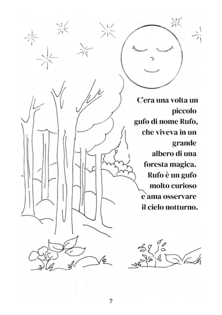 Il Gufo Rufo e la Luna sperduta - immagine 2